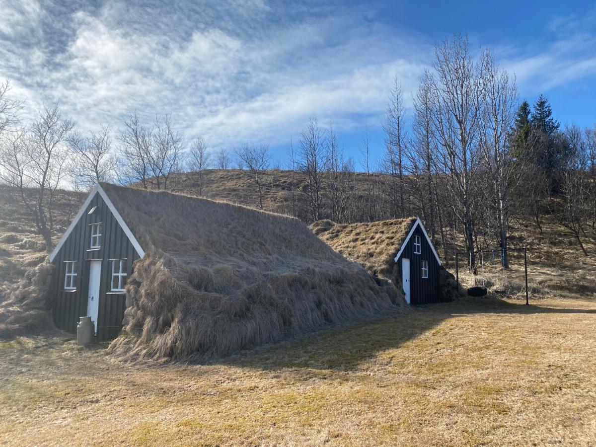 Dalshöfdi Guesthouse Dalshofdi Eksteriør billede