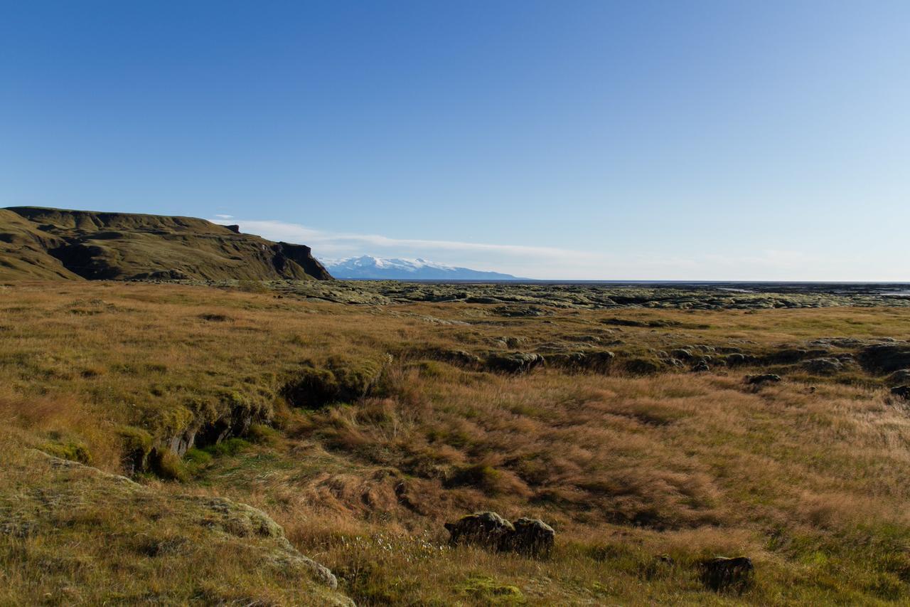 Dalshöfdi Guesthouse Dalshofdi Eksteriør billede